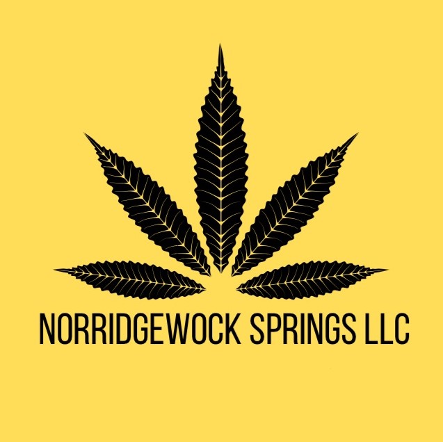 Norridgewock Springs