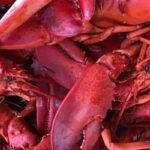 37th Annual Lobster Bake to Go… with curbside pickup!