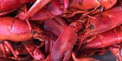 37th Annual Lobster Bake to Go… with curbside pickup!